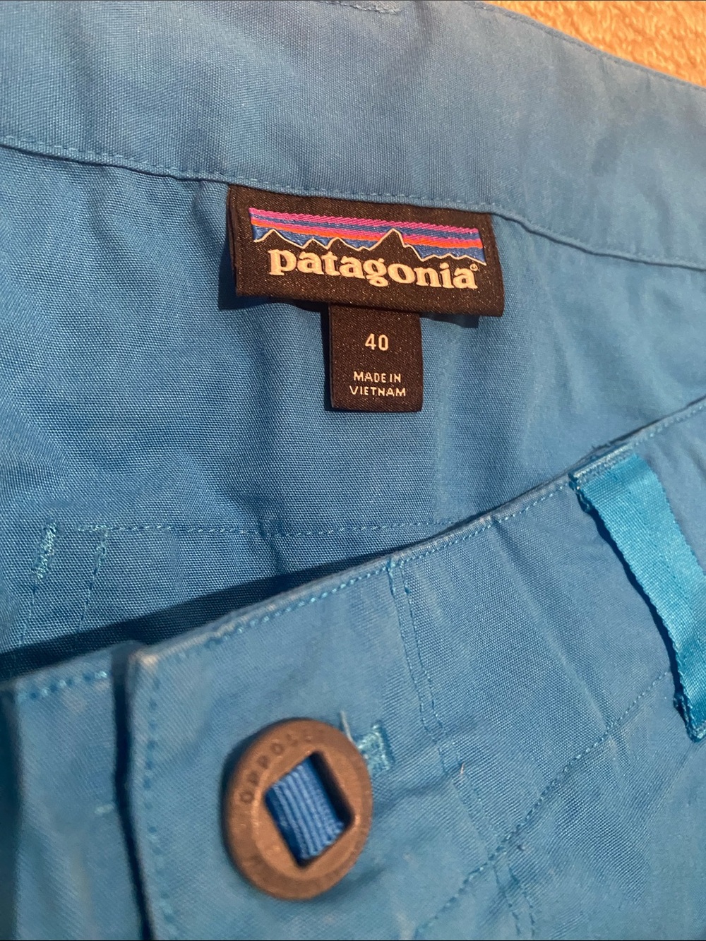 Patagonia (see description) Bright Teal Outdoor Pants